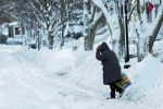 polar vortex split, Polar Vortex in US midwest, polar vortex extreme colds hits u s midwest 21 killed, Midwest