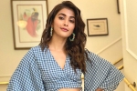 Pooja Hegde next movie, Pooja Hegde new film, pooja hegde in pink remake, Pink remake Pooja Hegde next movie, Pooja Hegde new film, pooja hegde in pink remake, Pink remake