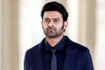 Prabhas news, Prabhas next film, new updates of prabhas and maruthi film, Raja deluxe