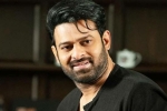 Prabhas next movie, Prabhas Project K updates, prabhas to join project k from november, Ashwini dutt Prabhas next movie, Prabhas Project K updates, prabhas to join project k from november, Ashwini dutt