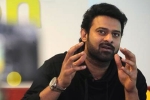 DVV Danayya, Prabhas, two young beauties in talks for prabhas next, Pelli sandad