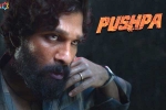 Allu Arjun Pushpa latest updates, Mythri Movie Makers, pushpa to be released in two installments, Puspha