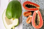 Raw Papaya Vs Ripe Papaya for blood sugar, Raw Papaya Vs Ripe Papaya suggestion, raw papaya vs ripe papaya which is better for blood sugar, H 1b visa