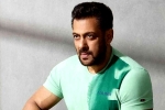 Salman Khan news, Acharya, salman khan coming for chiranjeevi and charan, Lucifer remake