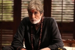 Sarkar 3 rating, Sarkar 3 Movie Review and Rating, sarkar 3 movie review rating story cast and crew, Wave cinema