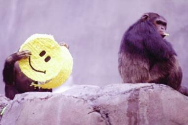 Smiles originated 30 million years ago! Smiles originated 30 million years ago!