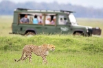 South African Safari Trip latest, South African Safari Trip, how to plan your south african safari trip, Goa