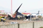 South Korea Plane Crash breaking, South Korea Plane Crash, pilot made mayday call and mentioned bird strike in south korea plane crash, Kidding