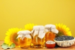 Sunflower Oil new updates, Sunflower Oil consumption, long term effects of consuming sunflower oil on heart health, Products