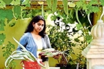 nris in gardening, NRI going green, this nri in qatar keen on farming is going green, B m kutty