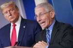United States, covid-19, us could start reopening in may anthony fauci, Andrew cuomo