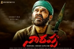 Naarappa latest, Srikanth Addala, venky turns intense for naarappa, Venky mama