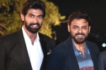 Venky and Rana combo, Venky movies, venky and rana daggubati s first web series in making, Viraata parvam