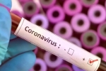 Vaccine for coronavirus, Cure for coronavirus, who warns covid 19 may never go away then what s the future of the world, Plague