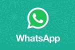 WhatsApp Native iPad App new updates, WhatsApp Native iPad App new updates, whatsapp s native ipad app to release soon, Donald trump