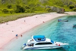 Pink Beach in Indonesia latest, Indonesia, which pink beach should you visit in indonesia, C section