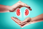 World Kidney Day 2025 care, World Kidney Day 2025 experts, world kidney day 2025 theme and health tips, International