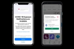 Apple, exposure notification express, apple releases ios 13 7 with covid 19 exposure notifications, Nevada