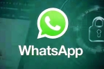 iOS Testing Multi-Account Support for WhatsApp breaking, iOS Testing Multi-Account Support for WhatsApp news, whatsapp for ios testing multi account support, Whatsapp