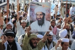 Bin Laden latest, Bin Laden death, bin laden continues to mobilize jihadists ten years after his death, Al qaeda