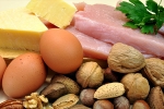 protein, protein rich foods, why protein is an important part of your healthy diet, Healthy diet