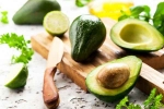 Avocado uses, Avocado, add avocado in your diet to lose weight, Avocados