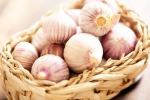 Chinese garlic in India, Chinese garlic new breaking, how to identify banned chinese garlic in the indian market, Spicy