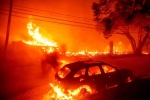 California Wildfire news, California Wildfire new updates, california declares wildfire emergency, Hollywood