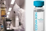 Covaxin India, Coronavirus vaccine, covaxin india s 1st covid 19 vaccine to get approval for human trials, Covaxin