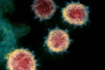 Coronavirus variants, Coronavirus latest, face covid 26 and covid 32 warns experts, Coronavirus origin