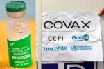 Covishield news, COVAX, sii to resume covishield supply to covax, Covaxin