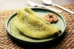 Curry Leaves Dosa visuals, Curry Leaves Dosa recipe, recipe curry leaves dosa, Spicy