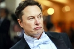 India, Elon Musk India visit news, elon musk s india visit delayed, Technology