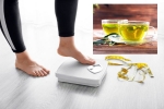 Green Tea for Weight loss latest tips, Green Tea for Weight loss study, can consuming green tea really help in weight loss, Skin care products