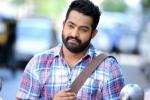NTR new movie, NTR news, official ntr s next film locked, Sardar gabbar singh