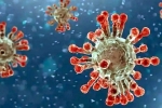 Coronavirus, China, new china coronavirus variant traced in india, India coronavirus