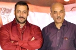 Salman Khan, Salman Khan, salman khan and sooraj barjatya to reunite again, Christmas