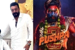 Mythri Movie Makers, Pushpa: The Rule budget, sanjay dutt s surprise in pushpa the rule, Sukumar