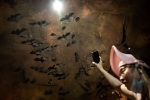 Wuhan CDC video, Wuhan CDC research details, a sensational video of scientists of wuhan cdc collecting samples in bat caves, Wuhan cdc news