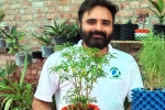 karnal municipal corporation, karnal municipal corporation, young nri entrepreneur returns to his native place with an intent to save water in gardening, Potted plants